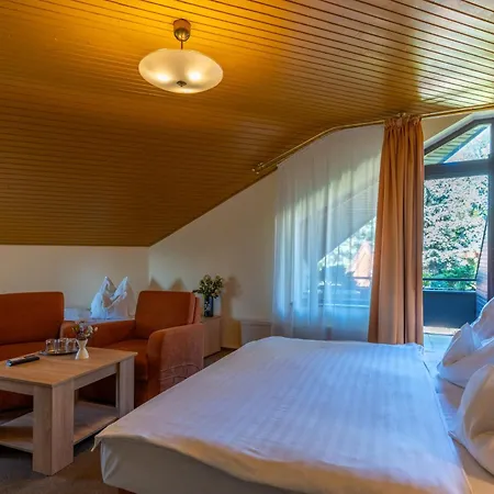 Hotel Molnar 3*
