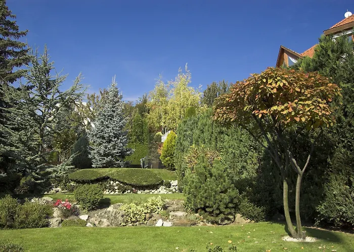 Molnar Отель 3*